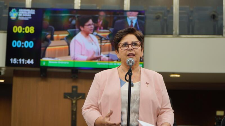 Projeto da deputada Bia de Lima institui cadastro estadual de saberes tradicionais femininos