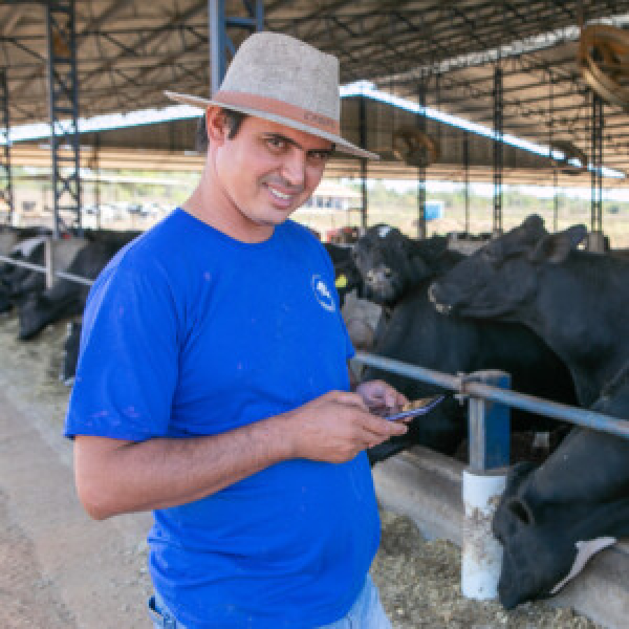 Aplicativo Leite Bem, do Senar Goiás, ajuda a economizar 20% com custos de produção