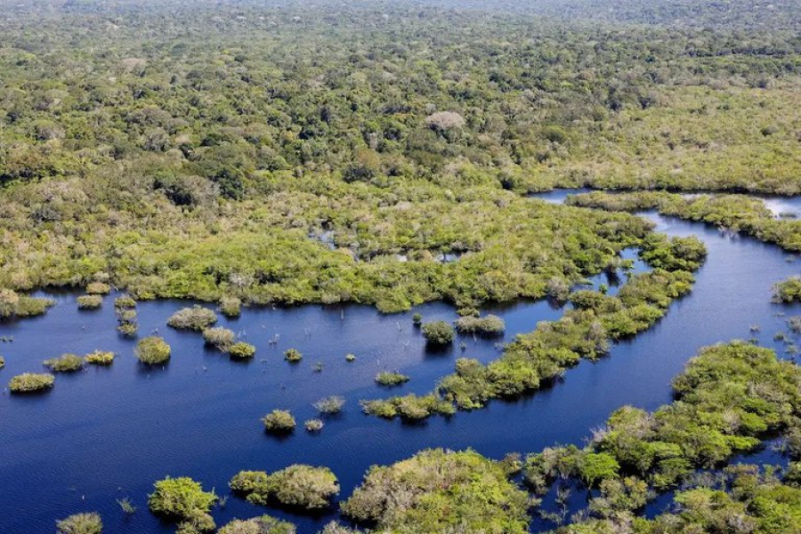 Em 12 meses, desmatamento cai 20% no Cerrado e sobe 4% na Amazônia