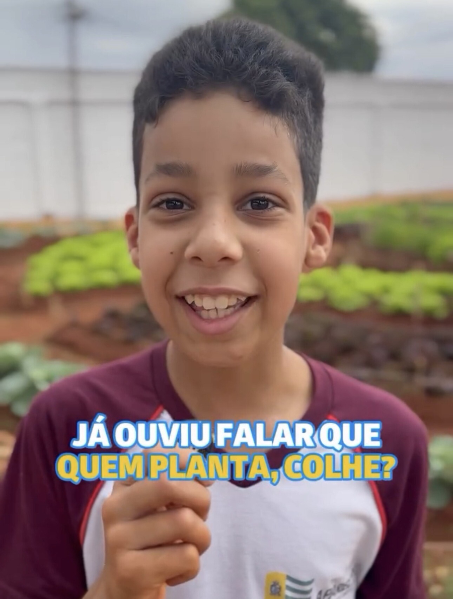Com apoio do Senar Goiás, crianças vivenciam o cultivo da terra dentro da escola e aprendem sobre sustentabilidade