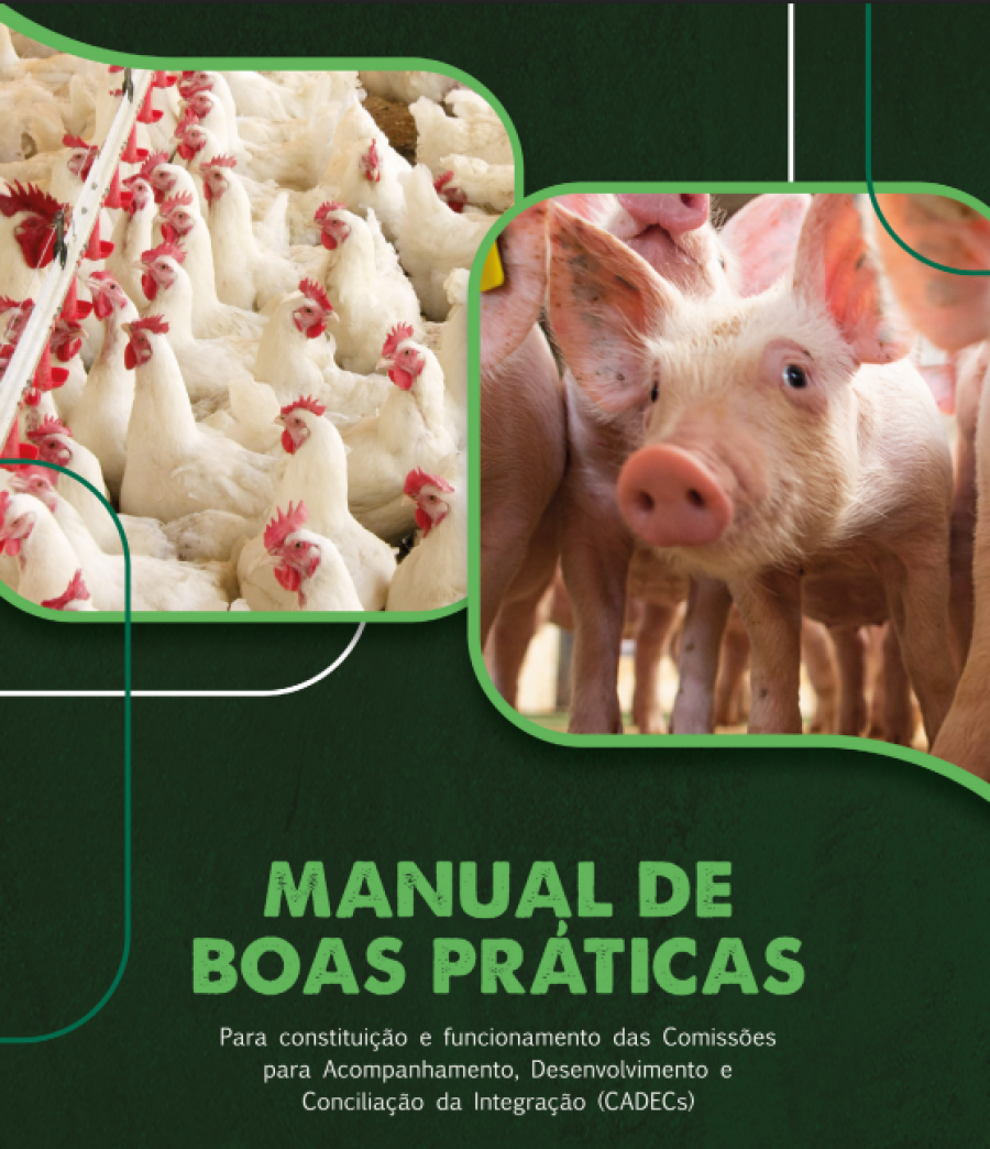 Novo guia fortalece regras de integração nas cadeias de aves e suínos