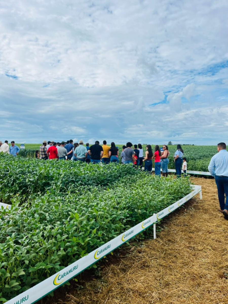 Secretaria Municipal de Agricultura realiza semana intensa de ações para fortalecer o agro em Rio Verde
