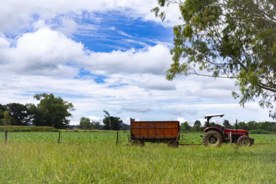 CNPJ de produtor rural pessoa física será gerado automaticamente