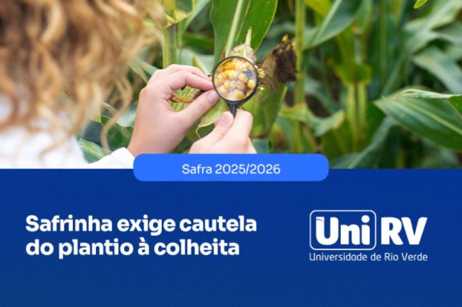 Irregularidade das chuvas exige estratégia na safra e safrinha