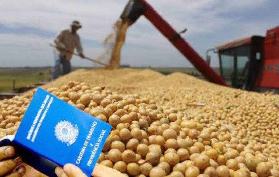 Empregos no agro batem recorde histórico no segundo trimestre de 2026