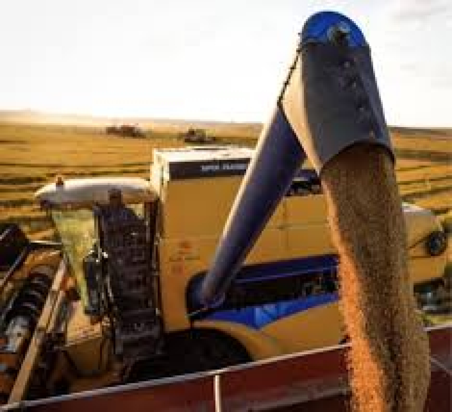 Goiás deve produzir 20,3 milhões de toneladas de soja e 12,4 milhões de toneladas de milho na safra 2026/27